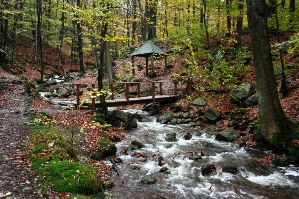 Le Studio De Spa Dış mekan fotoğraf